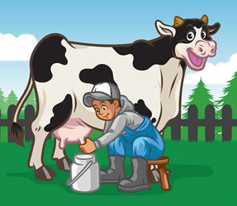 Milfresh Dairy Milk Products